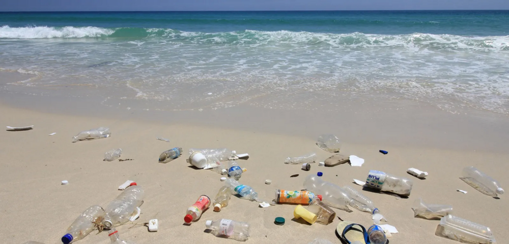 HOW DOES PLASTIC POLLUTION AFFECT HUMANS?